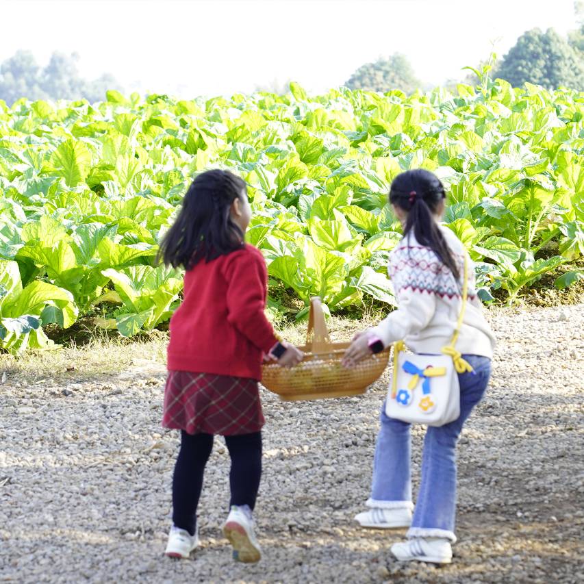 Club Med地中海邻境·黑龙滩度假村图片