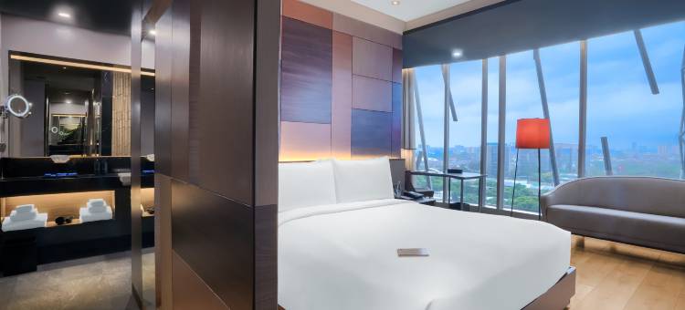 苏迪尔曼探索(Discovery SCBD)图片