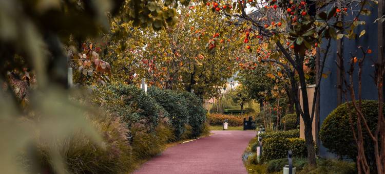 西安诗经里花间堂·与鹿图片