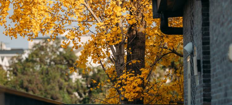 拾间院(扬州东关街店)图片