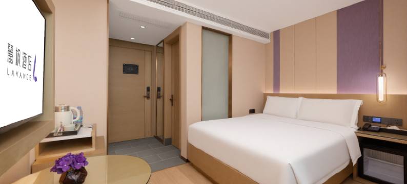 麗枫酒店(深圳东门万象城国贸地铁站店)图片