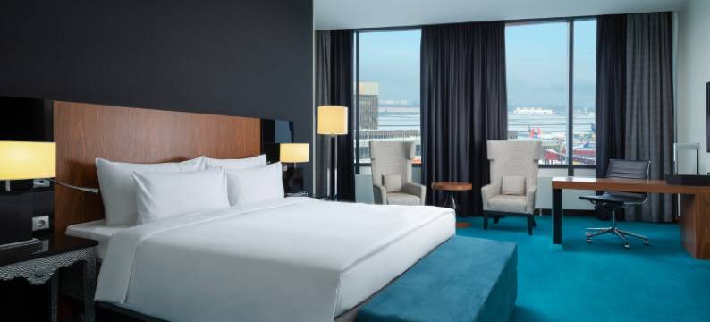 莫斯科谢列梅捷沃机场宇宙精选酒店(Cosmos Selection Moscow Sheremetyevo Airport Hotel, a Member of Radisson Individuals)图片