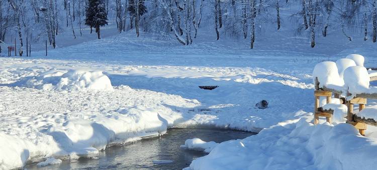 山屿林溪·白桦林雪山观景中古美学咖啡度假民宿(禾木老村店)图片