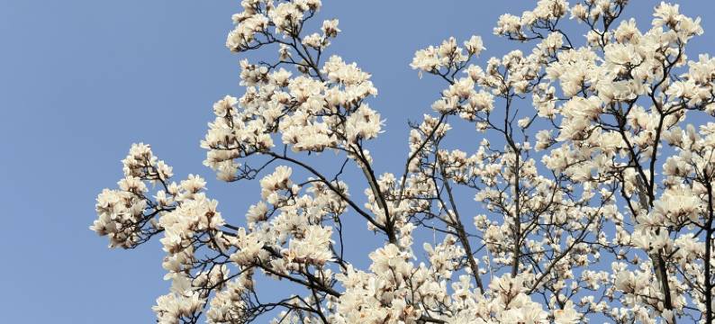 南京华东饭店图片