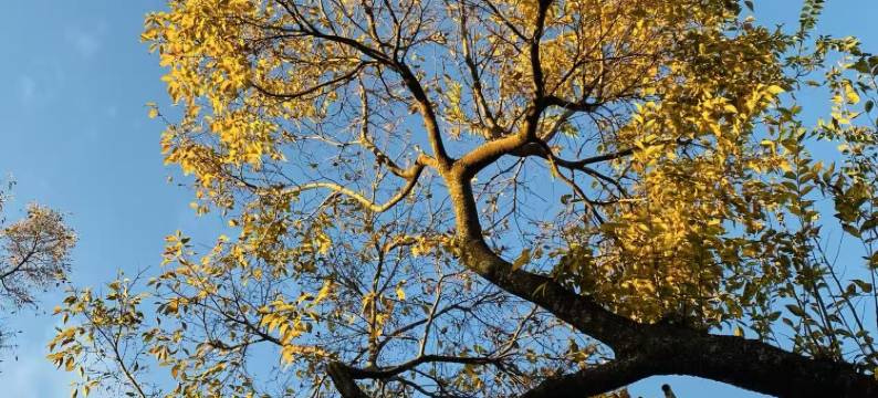 丽江都自在庭院民宿图片