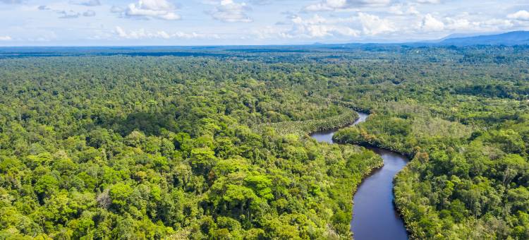 Club Med地中海俱乐部·沙巴度假村(Club Med Borneo Resort)图片