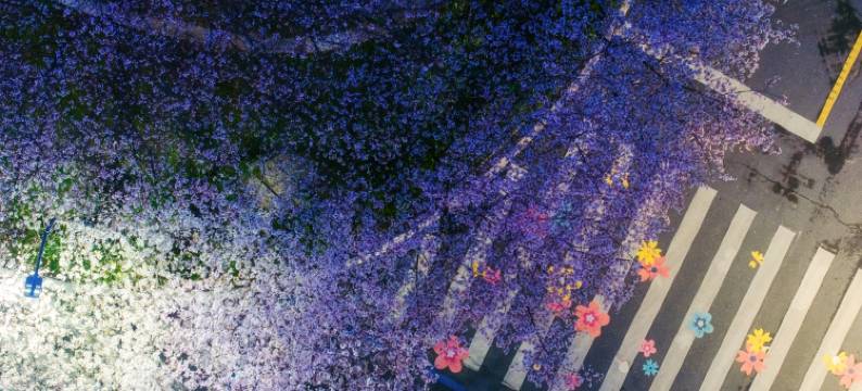 武汉富力威斯汀酒店图片