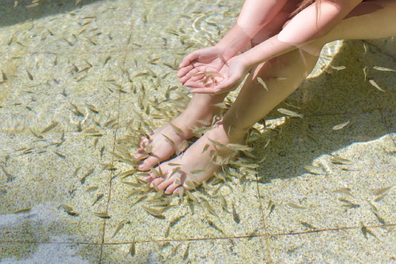 广州碧水湾温泉度假村图片