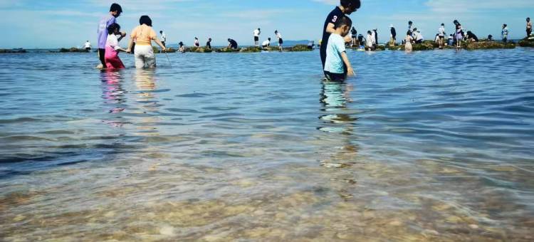 长岛后海民宿图片