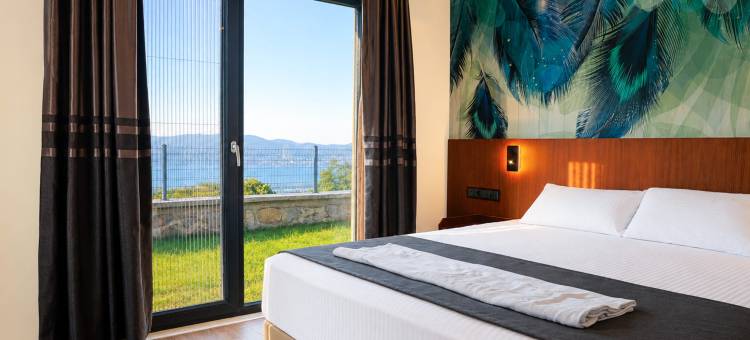 萨潘贾贝斯特韦斯特优质酒店(Best Western Plus Sapanca)图片