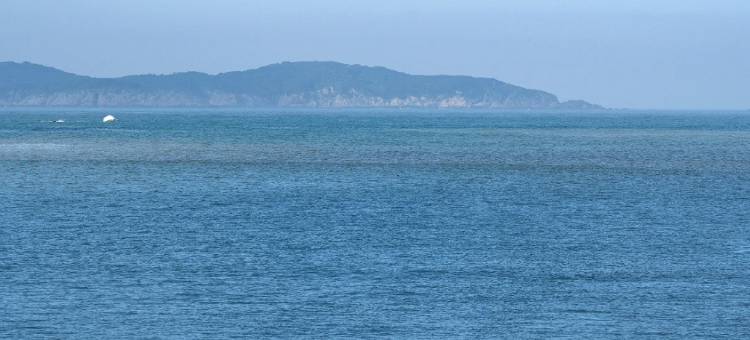 欣言居·日出归山海亲子旅行秘境美宿(舟山朱家尖大乌石塘景区店)图片