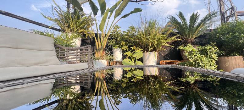 朗晴居空中花园猫咖·观景美宿(阳朔西街店)图片