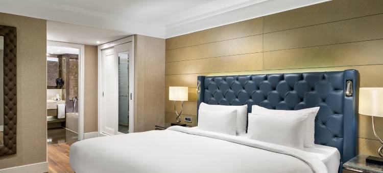 伊斯坦布尔希什利丽笙酒店(Radisson Blu Hotel, Istanbul Sisli)图片