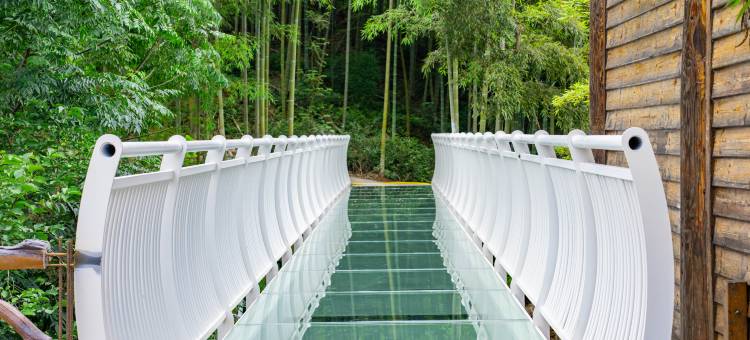 安吉仙泉·云林溪间·度假民宿图片