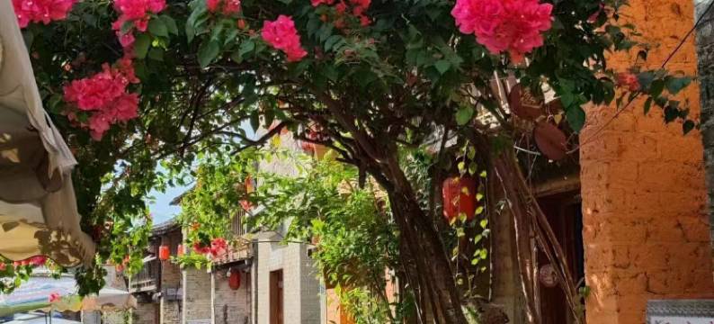 黄姚古镇金樽酒店图片