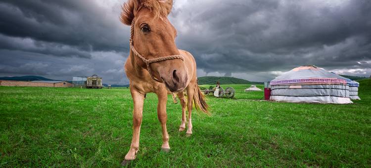 塞罕坝赛娅民宿图片