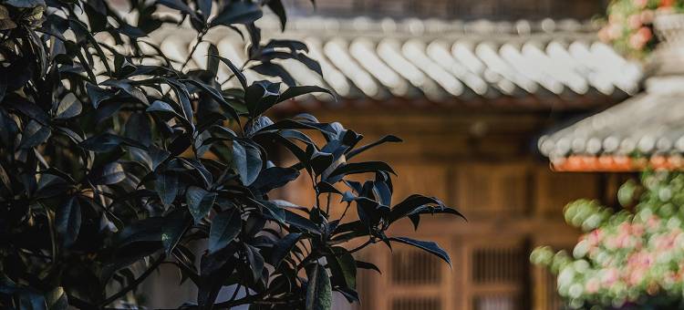 喜柿·寻隐度假庭院(丽江古城店)图片