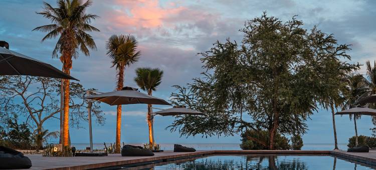 趣狮子 - 蒲甘(The Funny Lion - Puerto Princesa)图片