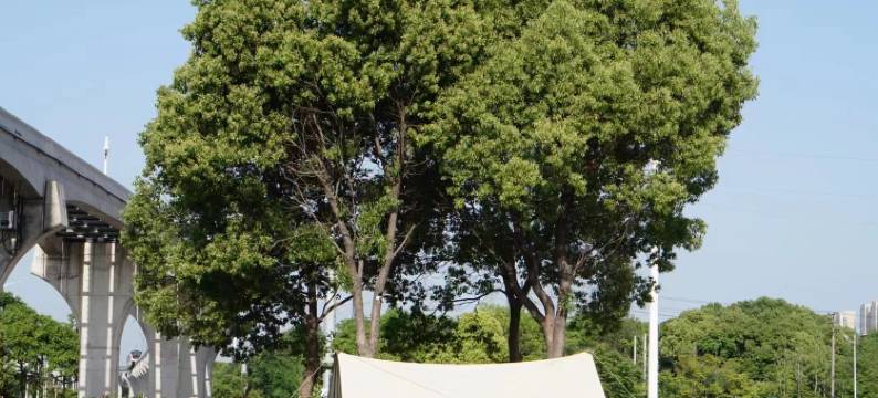 途居芜湖龙山露营地图片