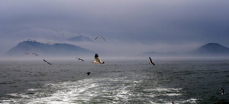 长岛岛屿客栈图片