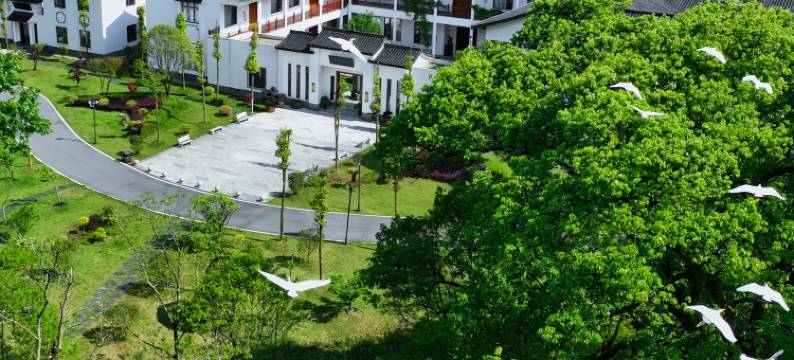 白鹭苑民宿图片