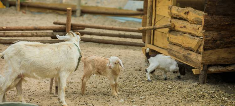 花筑·野三坡拾光山舍(龙门天关景区店)图片