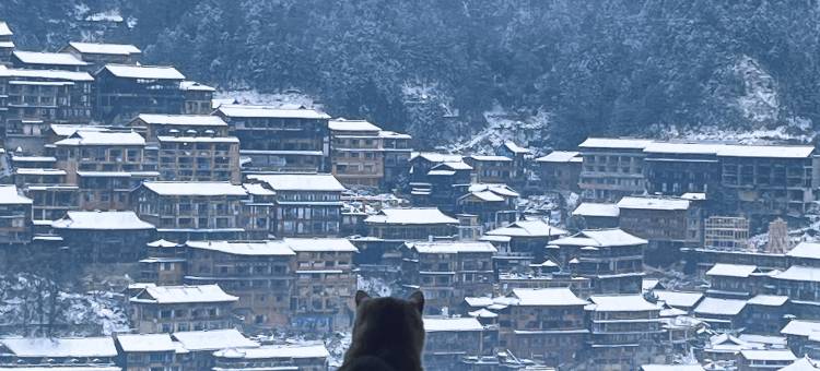 榴夏逸不晚・FelineReverie压寨喵星全景度假村落(东引观景台店)图片