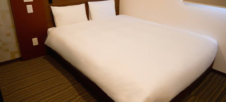 东京日本桥N+酒店(Nplus Hotel Tokyo Nihonbashi)图片