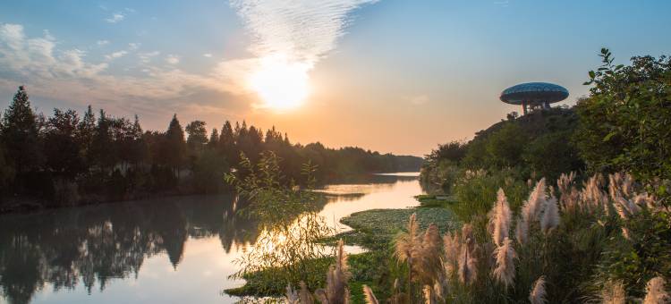 杭州西溪悦椿度假酒店图片
