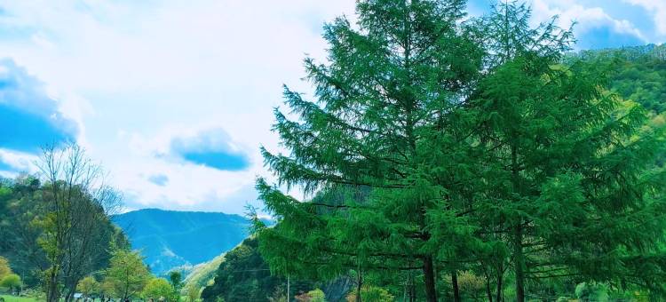 留坝狮风寨民宿图片
