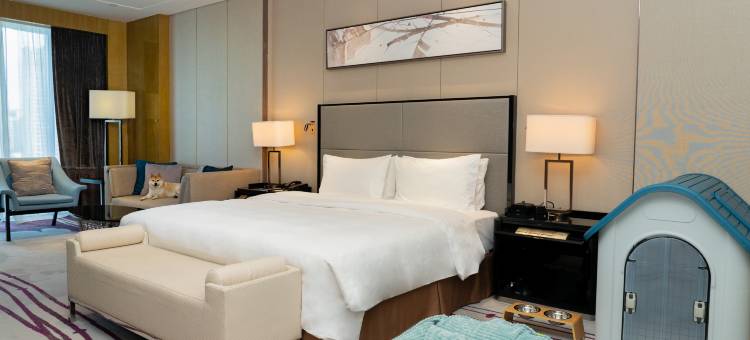 河源汇景希尔顿逸林酒店图片