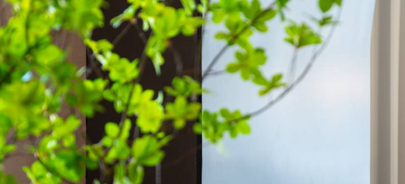 武汉诺兰花园酒店(王家湾国博中心店)图片