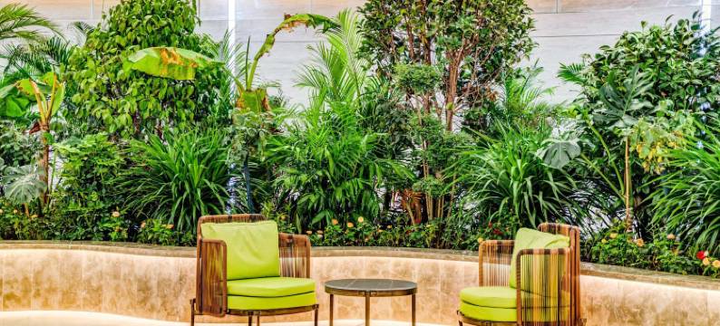 美景国际酒店(青岛红岛国际会展中心康复大学店)图片