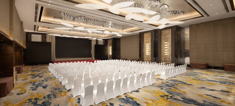 六安曙光铂尊酒店图片