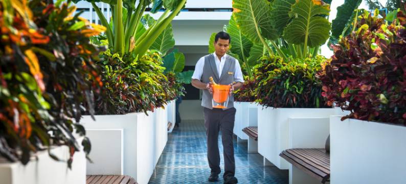 维鲁斯酒店(Viroth's Hotel)图片