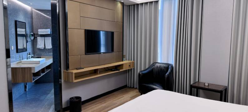 海宁星河精品酒店(海宁高铁西站店)图片