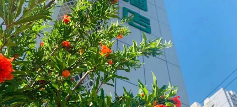 万商如一酒店(北京鲁谷东街店)图片