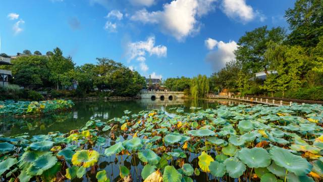 杭州西湖溋銮·映月民宿(青芝坞店)图片