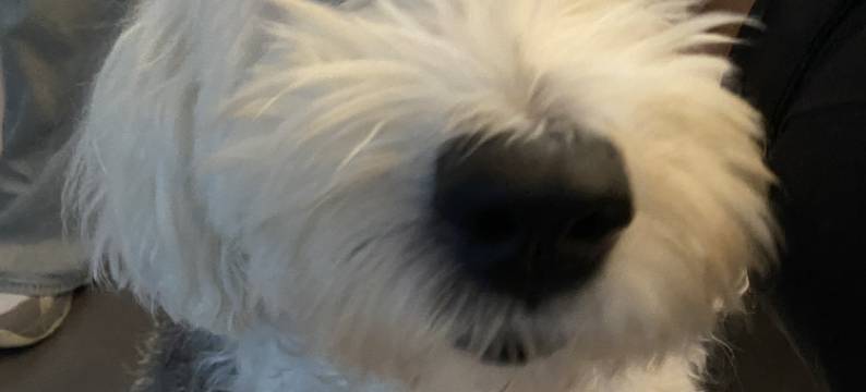 叁房柒舍民宿(洛邑古城店)图片