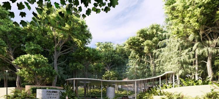 帕洛玛格里达酒店(Paloma Grida)图片