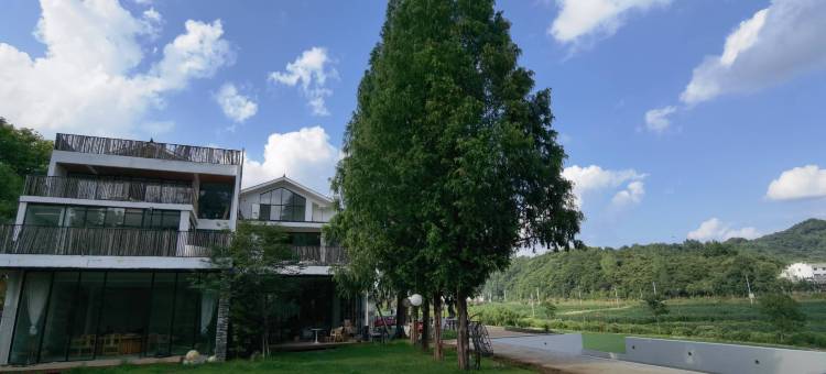 叁生有杏泳池度假民宿(银杏谷店)图片