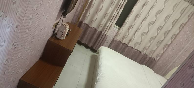 大名金安宾馆图片