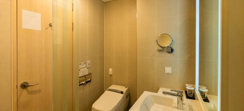 仁川机场环球酒店及套房(Incheon Airport Global Hotel & Suites)图片