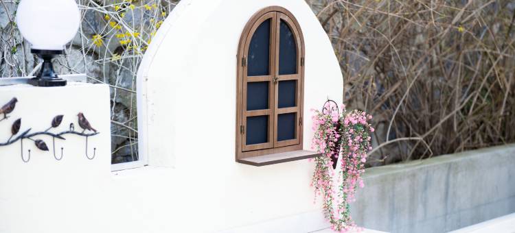 大连杜鹃5号民宿图片