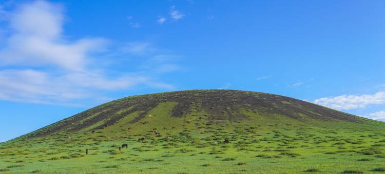 牧野星空民宿(乌兰哈达火山地质公园店)图片