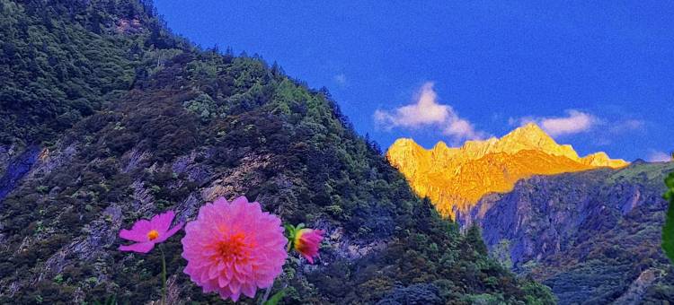 四姑娘山·view mountain山景丨王幺妹客栈(双桥沟景区店)图片