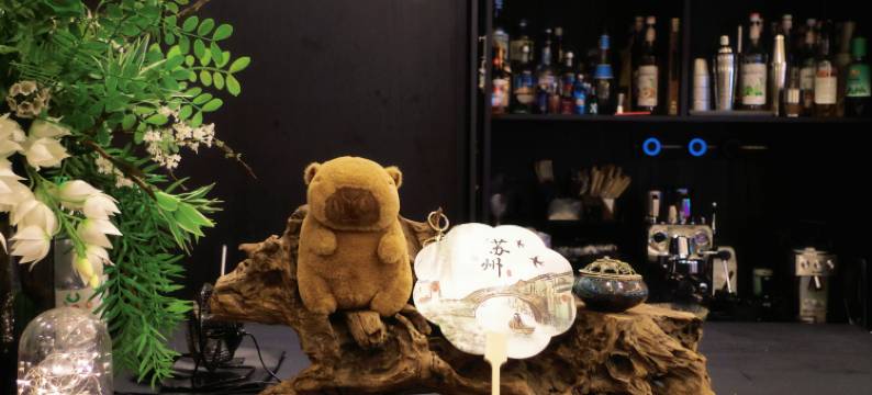 窄遇见电动床设计师青旅(苏州观前街平江路店)图片