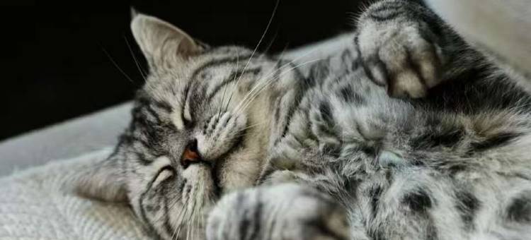 忻州古城壹城倾宿图片