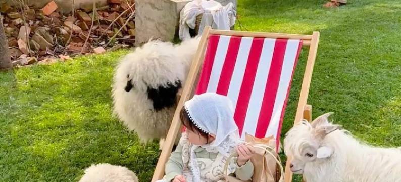 树下小白屋·小羊肖恩主题民宿(安吉白茶观景平台店)图片