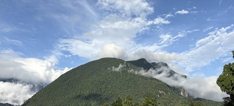 清道乐天园(Paradise Resort & Cafe)图片